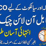 How to Check GEPCO Bill Online