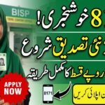 8171 Beneficiary Verification Process