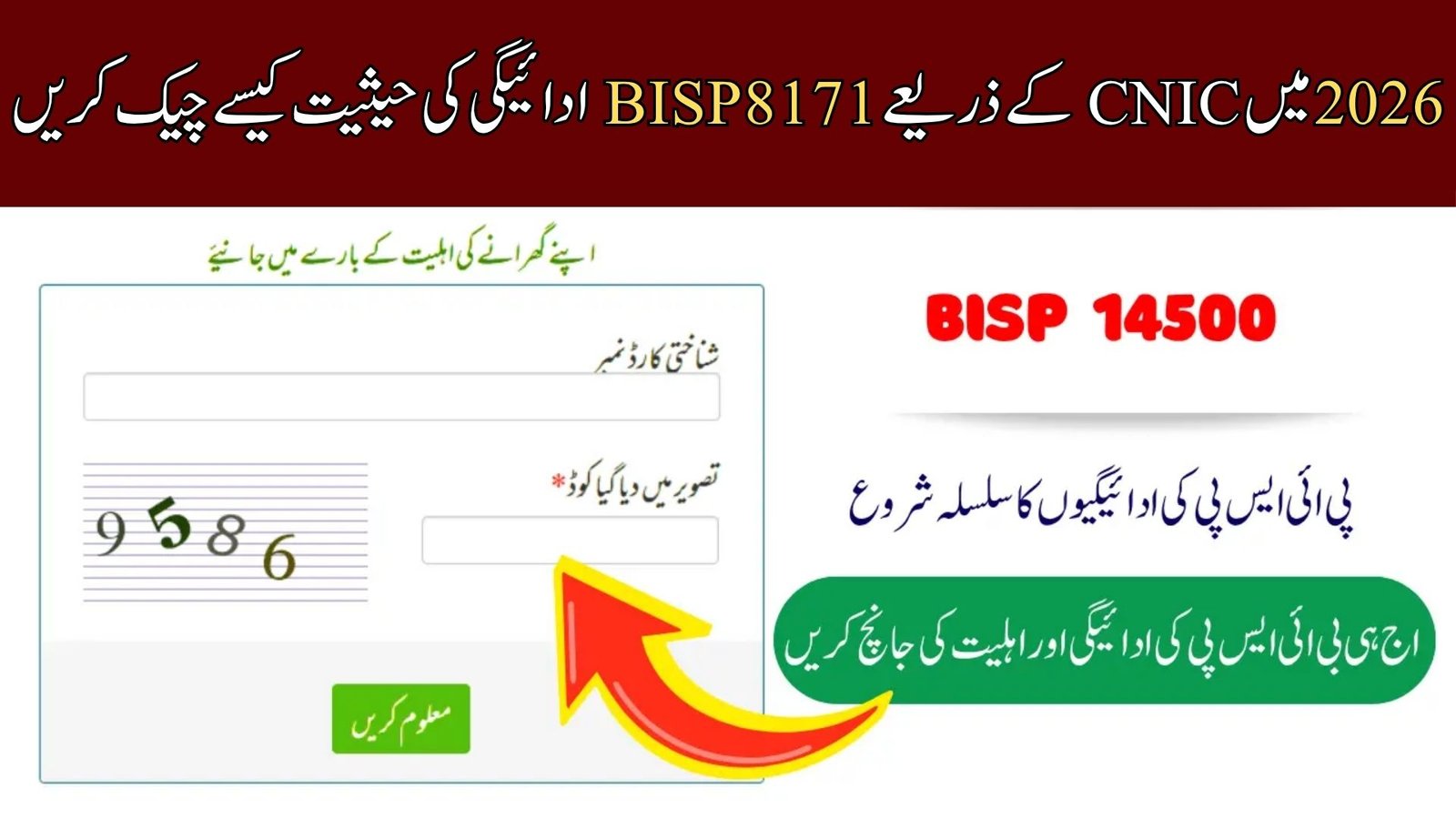Check 8171 BISP Payment Status by CNIC in 2026