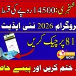 BISP 8171 Not Eligible Reason