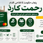 Punjab Rahmat Card Full Registration Guide with Official Gov PK Link